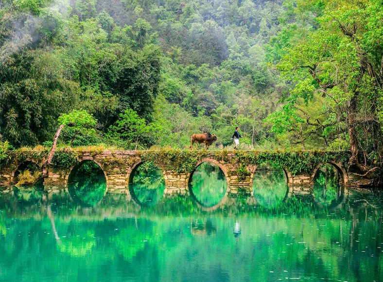 黄果树瀑布•荔波小七孔•西江千户苗寨•花溪湿地公园动车五日游