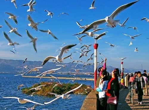 滇池海埂大坝