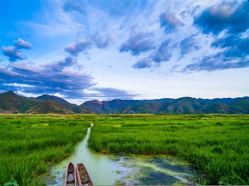 泸沽湖草海