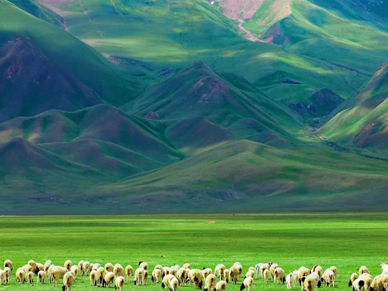 巴音布鲁克草原